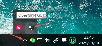 任务栏右下角的OpenVPN GUI图标