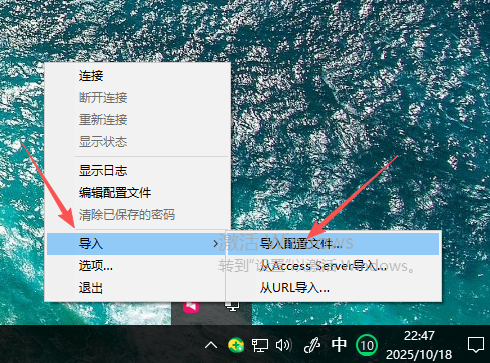 右键菜单中的导入选项